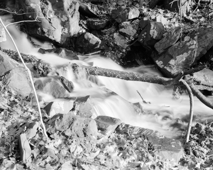 minerva_deak_f_c18-021