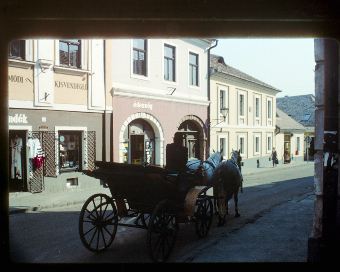 minerva_deak_f_c18-030