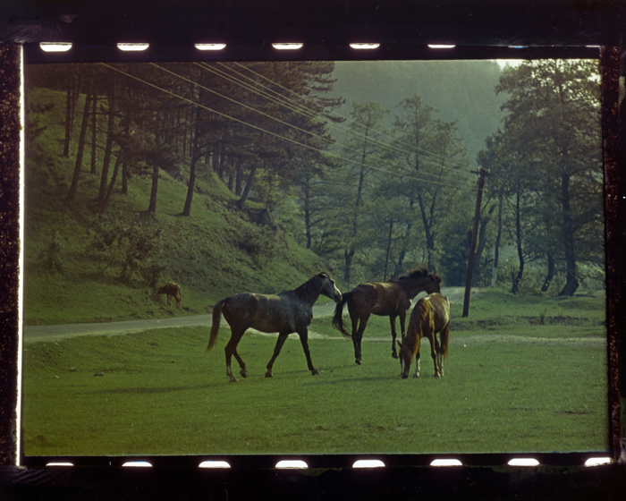 minerva_deak_f_c18-047