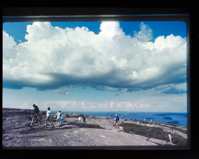 minerva_deak_f_c18-048