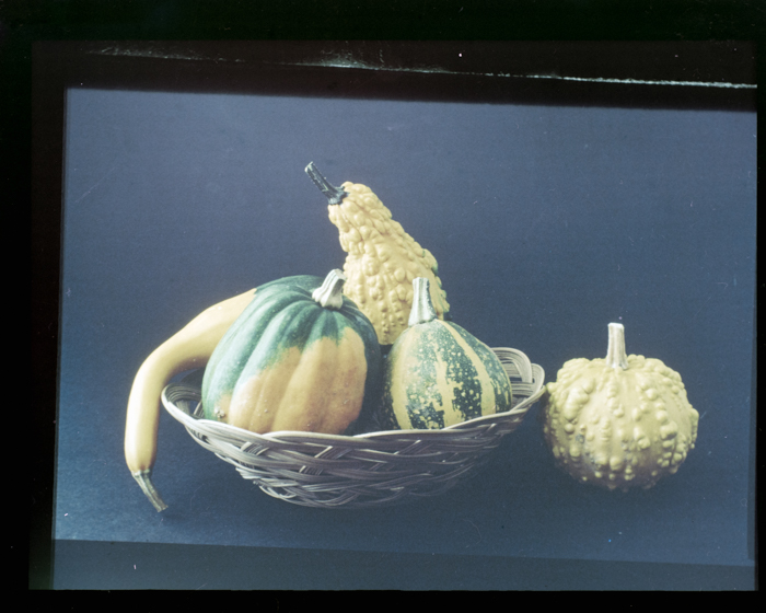 minerva_deak_f_c18-052