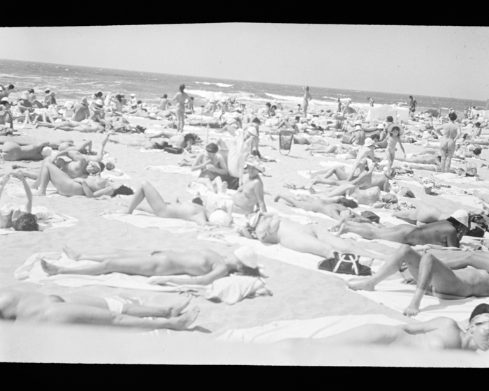 minerva_deak_f_c19-047