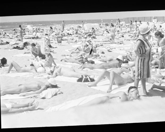 minerva_deak_f_c19-048