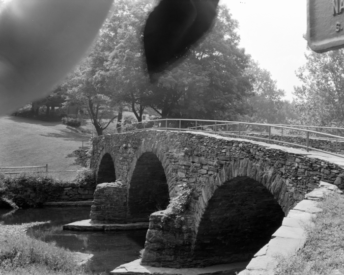 minerva_deak_f_c19-081