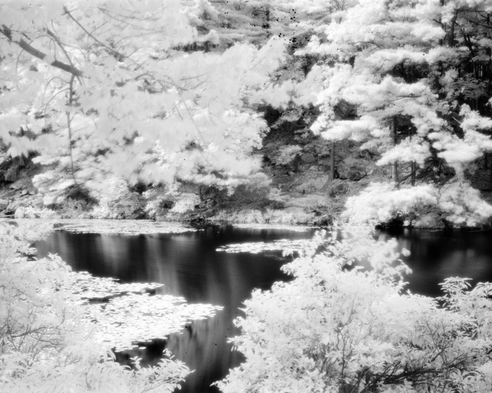 minerva_deak_f_c19-082