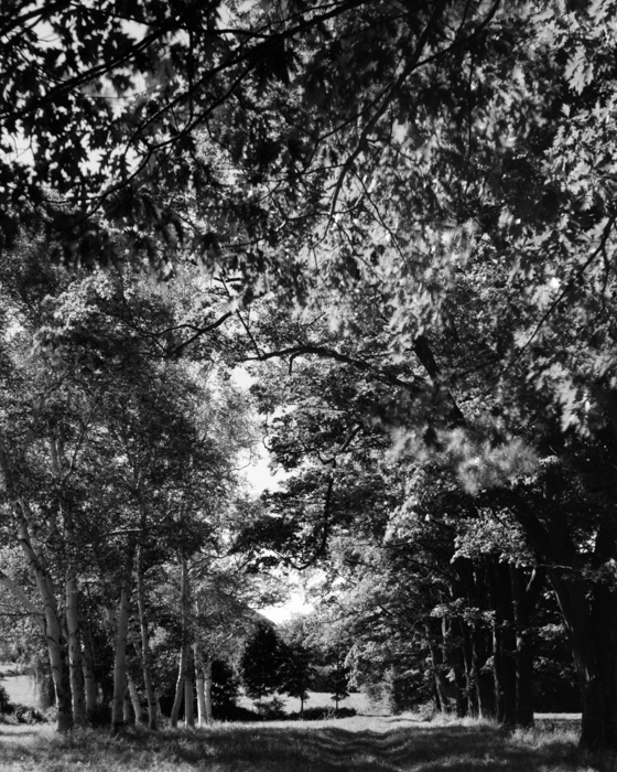 minerva_deak_f_c19-084