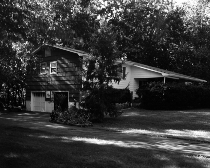 minerva_deak_f_c19-095