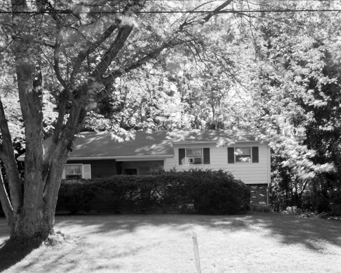 minerva_deak_f_c19-097