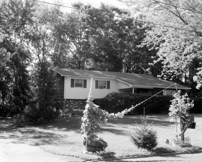 minerva_deak_f_c19-098