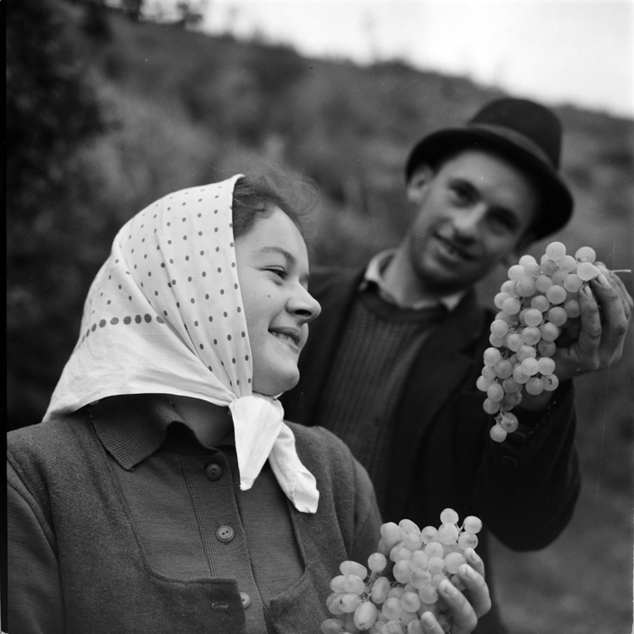 minerva_deak_f_c1_agrar-003