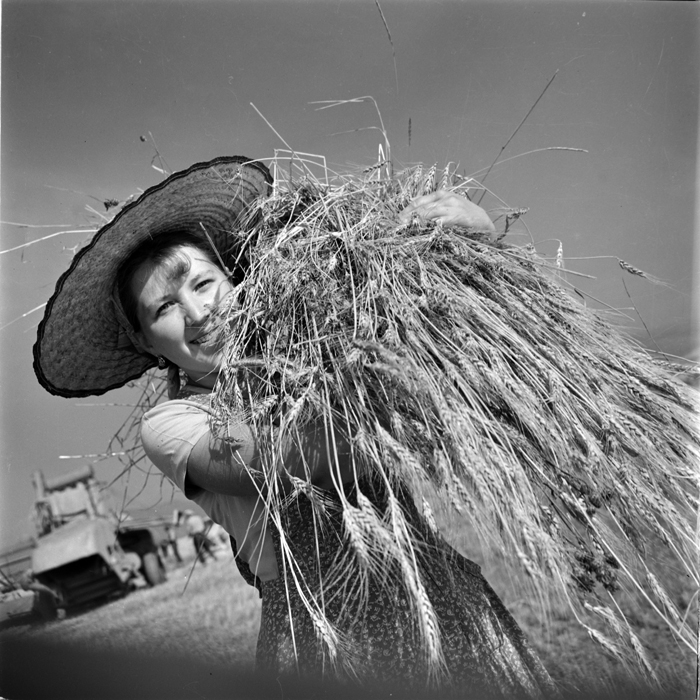 minerva_deak_f_c1_agrar-004