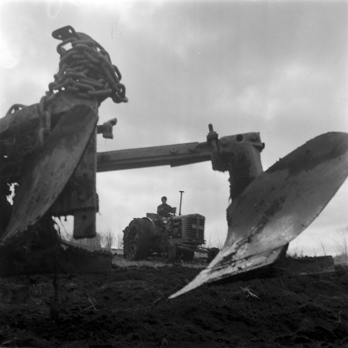 minerva_deak_f_c1_agrar-005