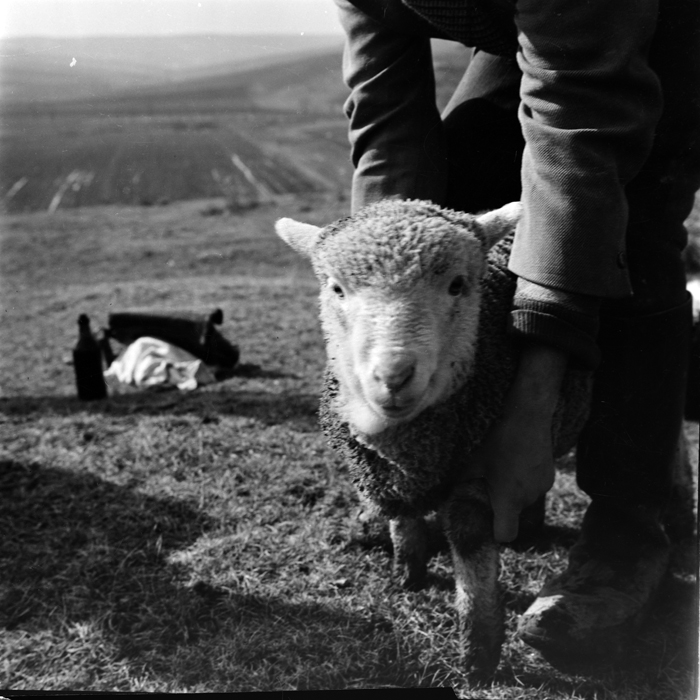 minerva_deak_f_c1_agrar-006