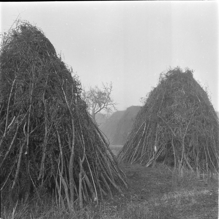 minerva_deak_f_c1_agrar-007