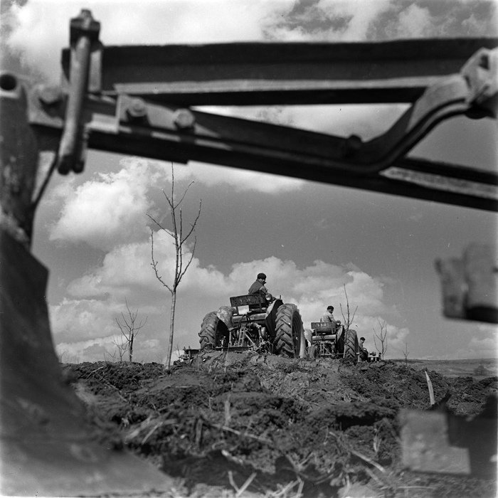 minerva_deak_f_c1_agrar-011