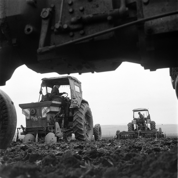 minerva_deak_f_c1_agrar-012