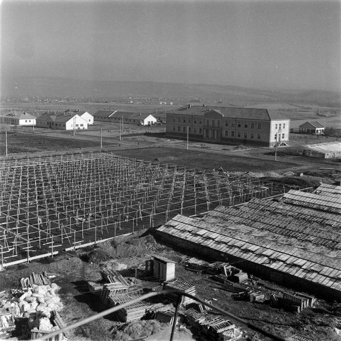 minerva_deak_f_c1_agrar-013