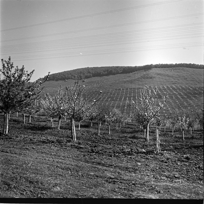 minerva_deak_f_c1_agrar-014