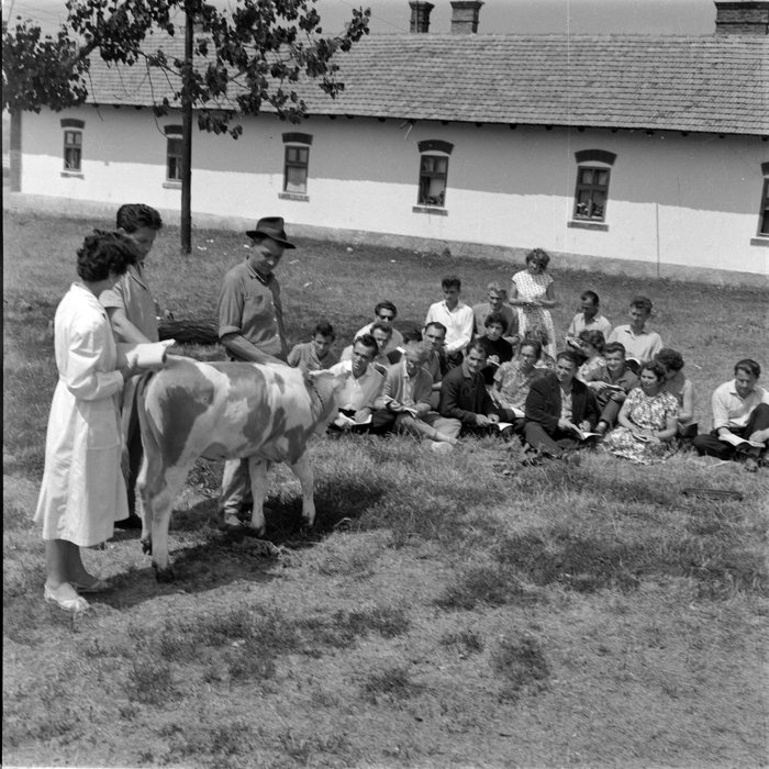 minerva_deak_f_c1_agrar-015