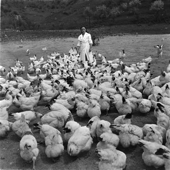 minerva_deak_f_c1_agrar-018