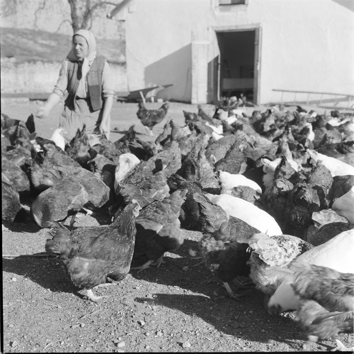 minerva_deak_f_c1_agrar-020