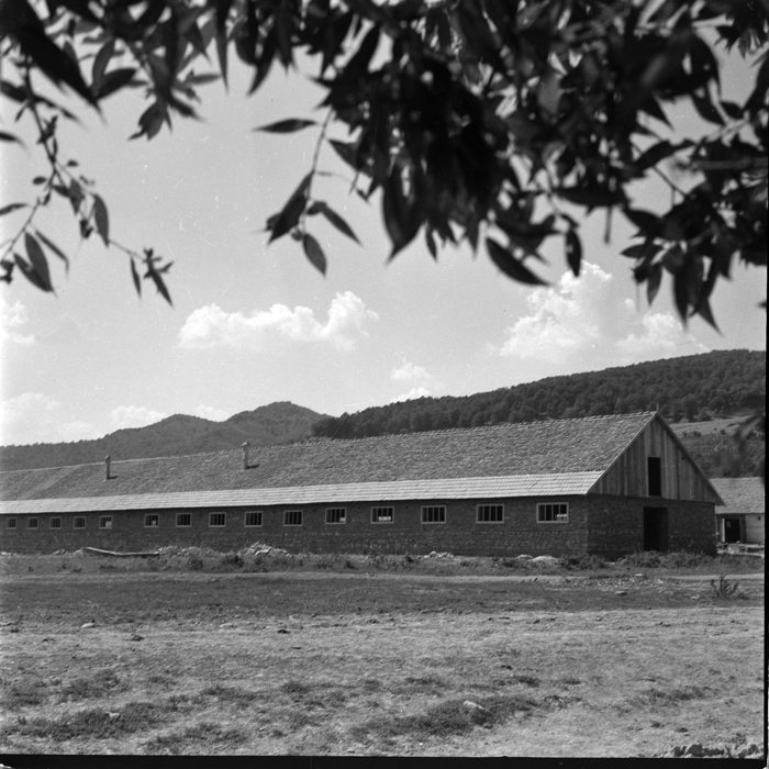 minerva_deak_f_c1_agrar-021