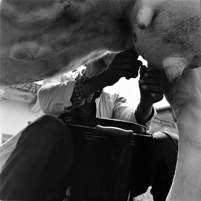 minerva_deak_f_c1_agrar-023