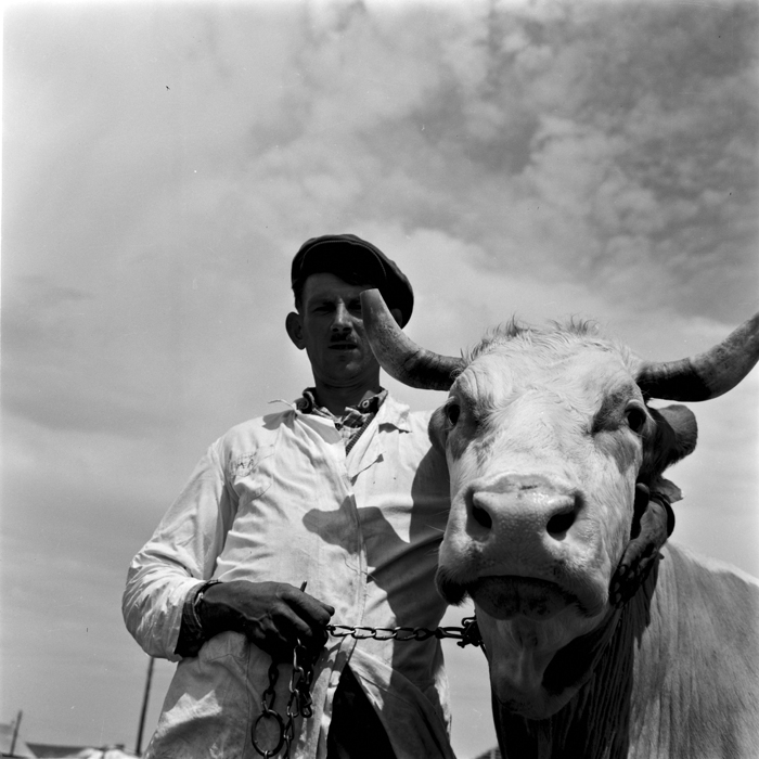 minerva_deak_f_c1_agrar-024