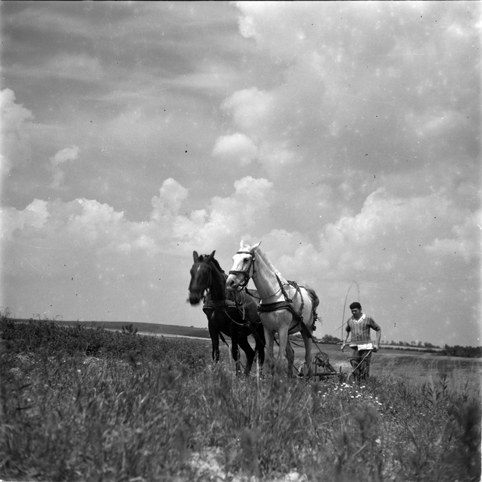 minerva_deak_f_c1_agrar-025