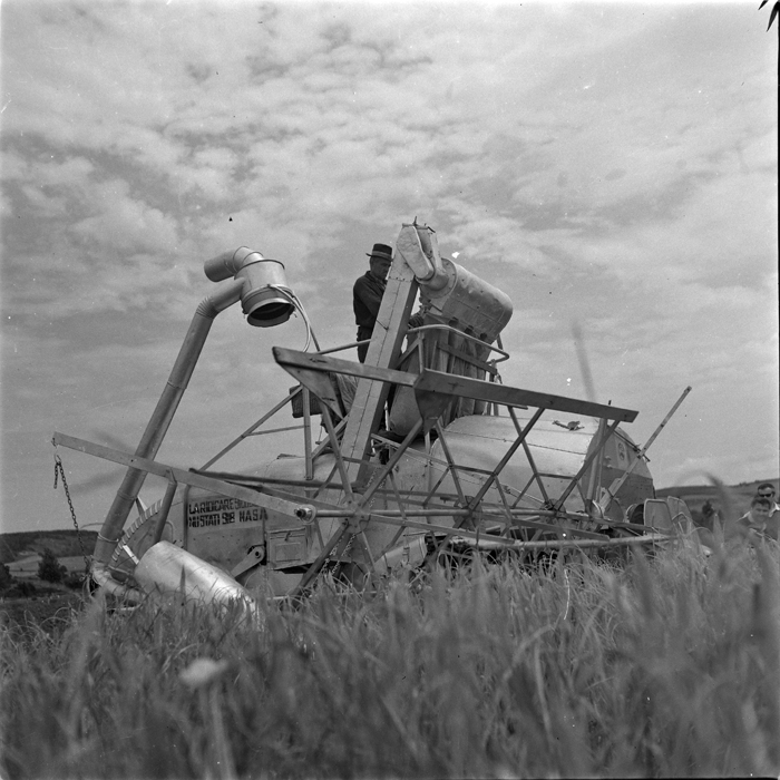 minerva_deak_f_c1_agrar-026