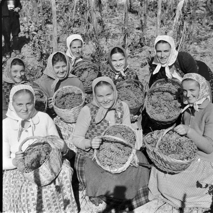 minerva_deak_f_c1_agrar-028