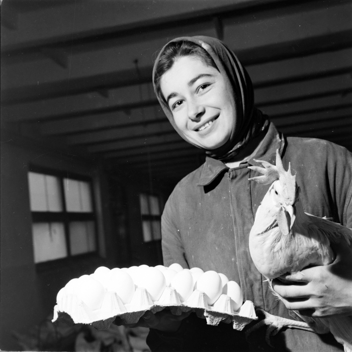 minerva_deak_f_c1_agrar-029