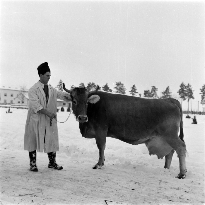 minerva_deak_f_c1_agrar-030