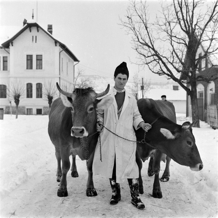 minerva_deak_f_c1_agrar-031