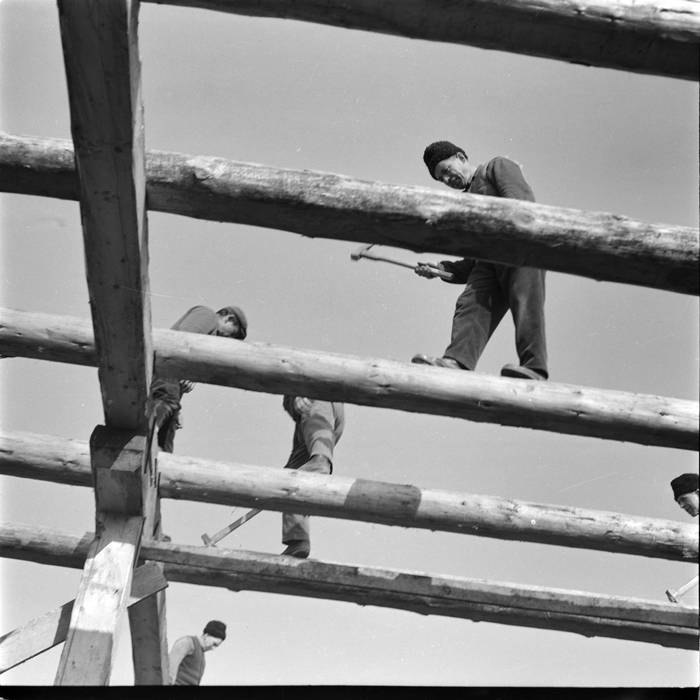 minerva_deak_f_c1_agrar-036