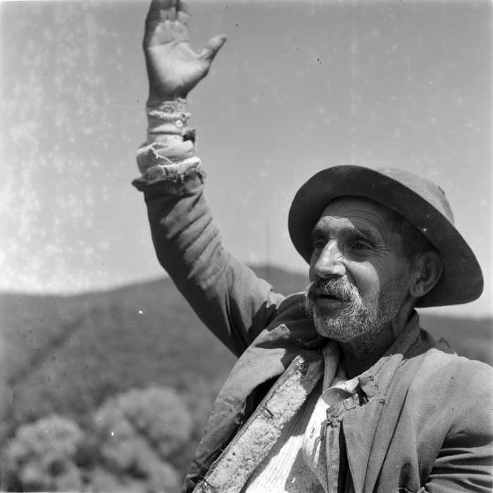 minerva_deak_f_c1_agrar-042