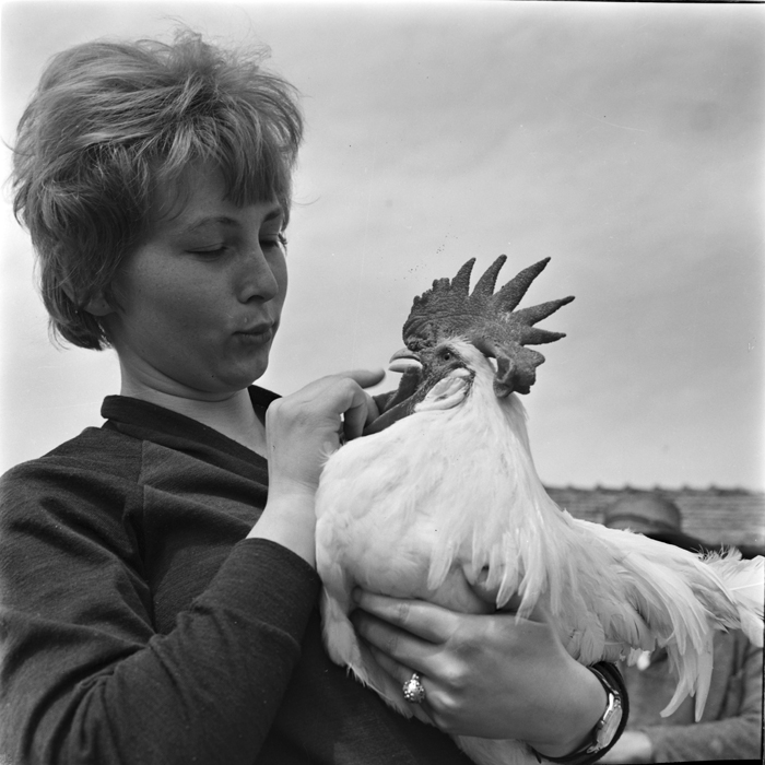 minerva_deak_f_c1_agrar-045