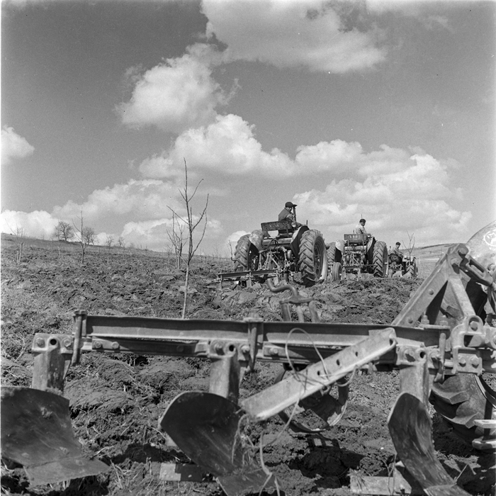 minerva_deak_f_c1_agrar-047