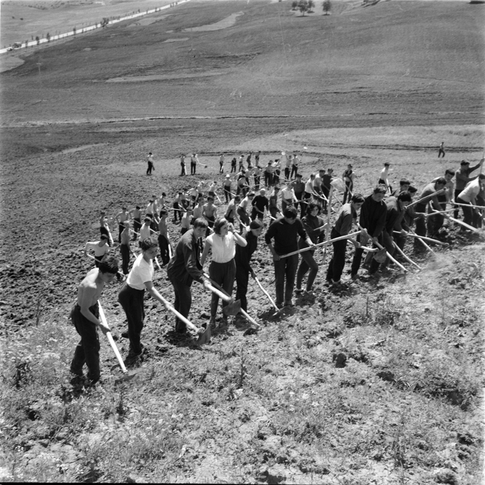 minerva_deak_f_c1_agrar-050