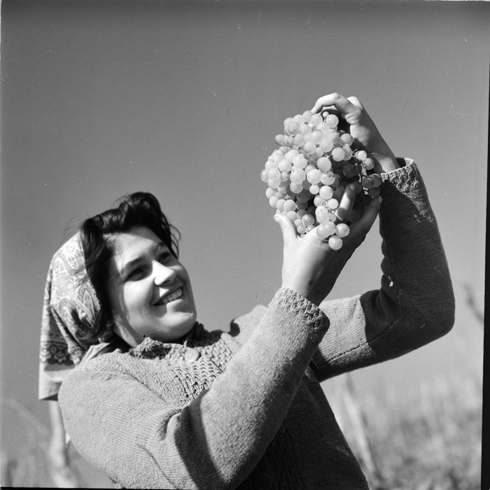 minerva_deak_f_c1_agrar-052