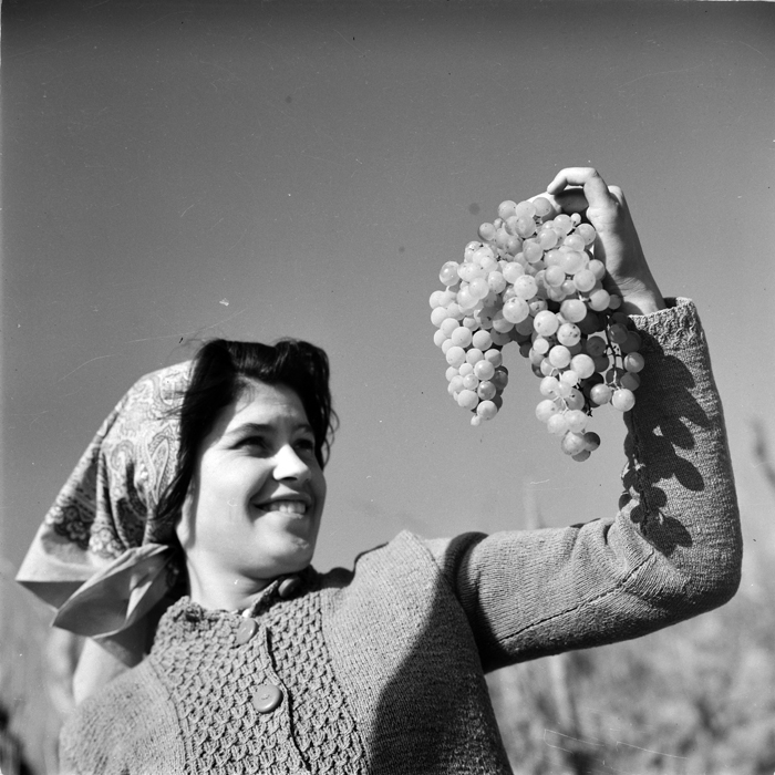 minerva_deak_f_c1_agrar-053