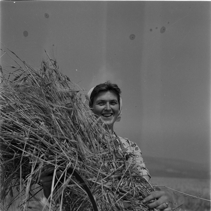 minerva_deak_f_c1_agrar-056