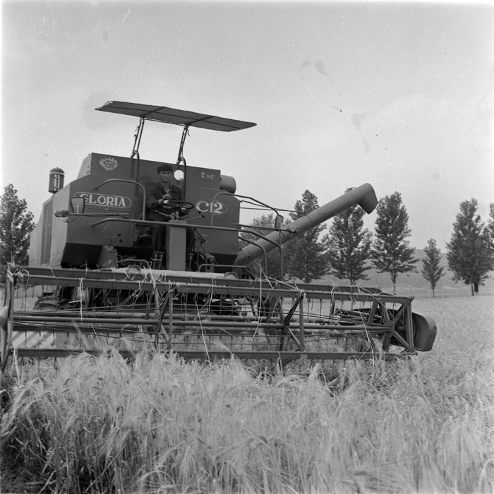 minerva_deak_f_c1_agrar-060