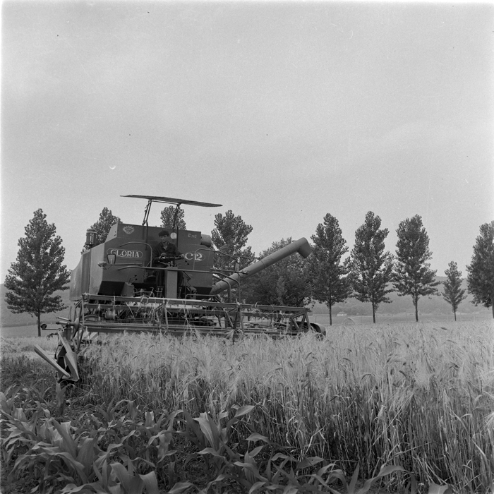 minerva_deak_f_c1_agrar-061