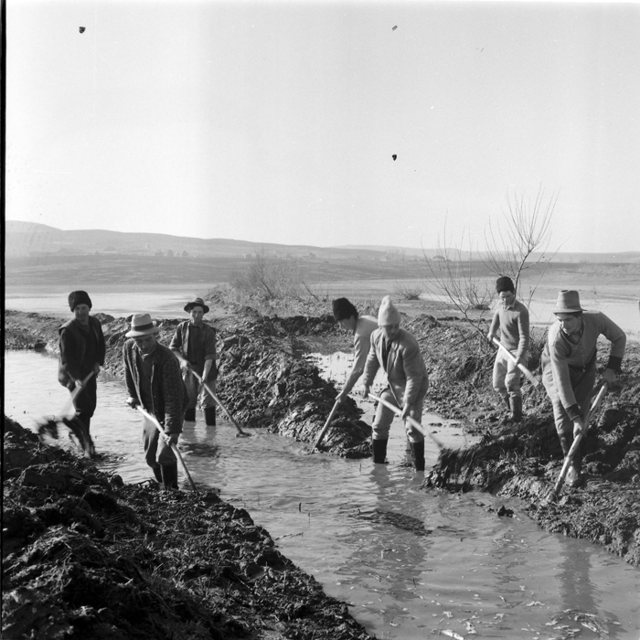 minerva_deak_f_c1_agrar-063