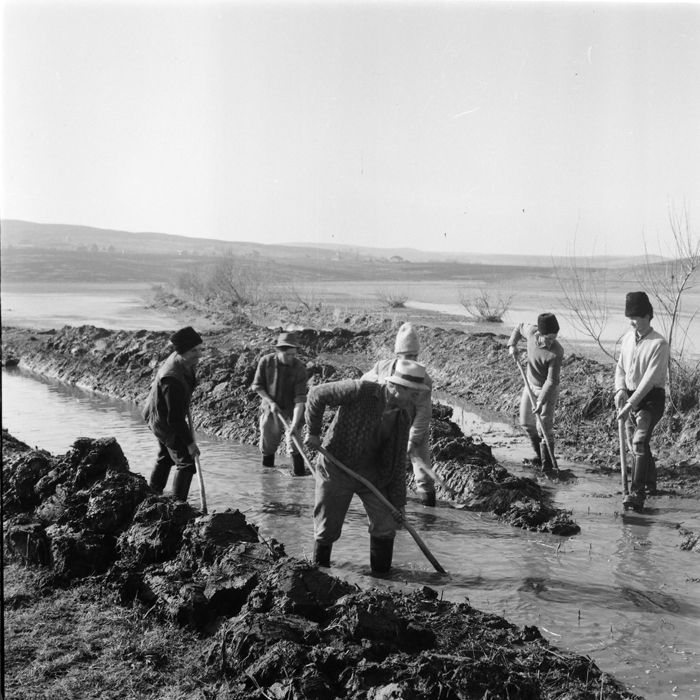 minerva_deak_f_c1_agrar-064