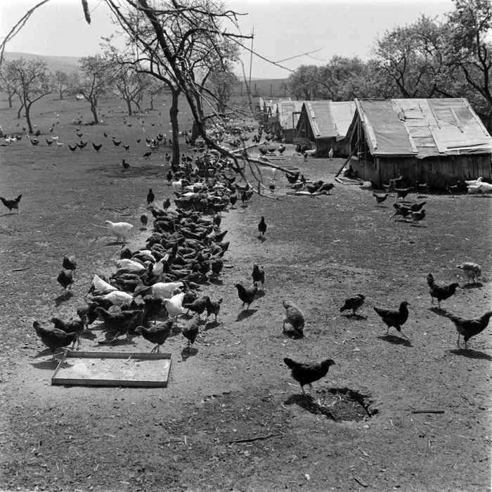 minerva_deak_f_c1_agrar-068