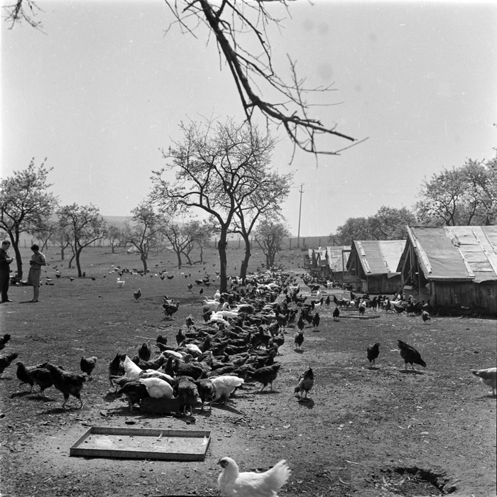 minerva_deak_f_c1_agrar-069