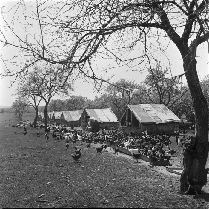 minerva_deak_f_c1_agrar-071