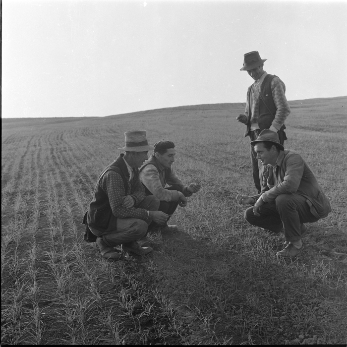 minerva_deak_f_c1_agrar-073